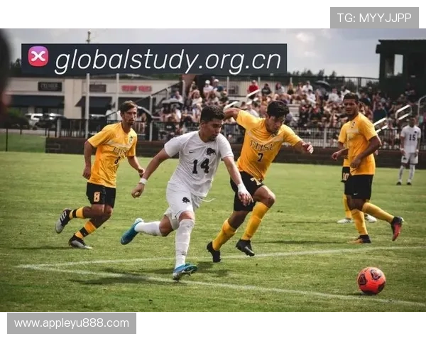 乐鱼官方体育app下载安装便捷指南帮助用户快速上手体育赛事直播平台体验