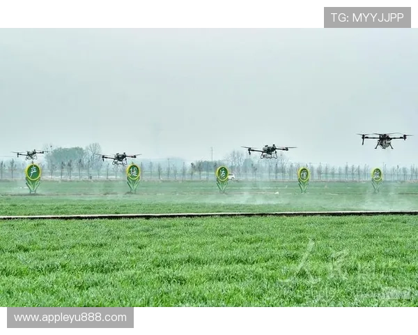 乐鱼官方网站在线登陆入口的最新版本下载地址一览