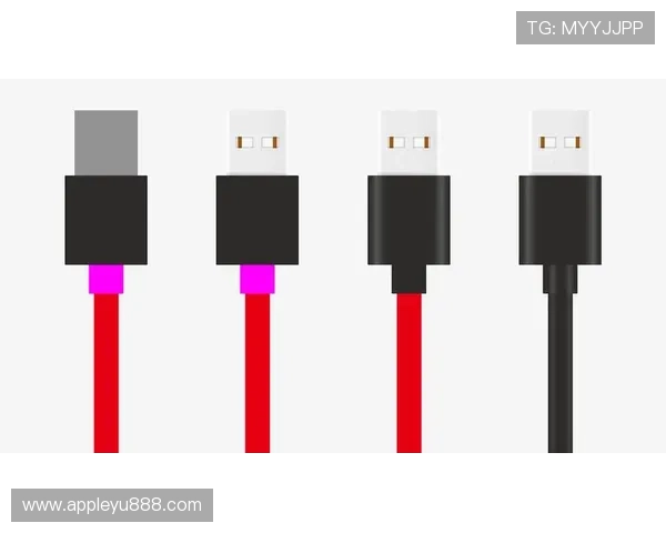 乐鱼平台下载安装后如何进行软件版本更新与安全保护