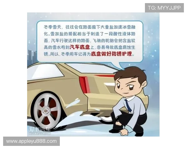 乐鱼手机系统更新动态，确保你的手机随时保持最佳状态