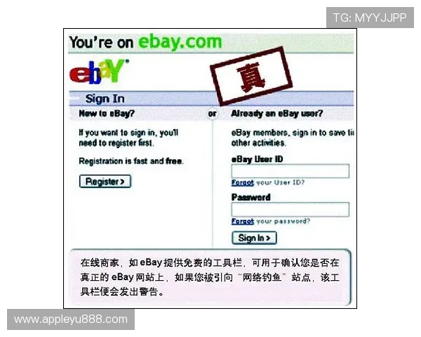 乐鱼最新域名官方公告确保玩家安全登录的详细解读