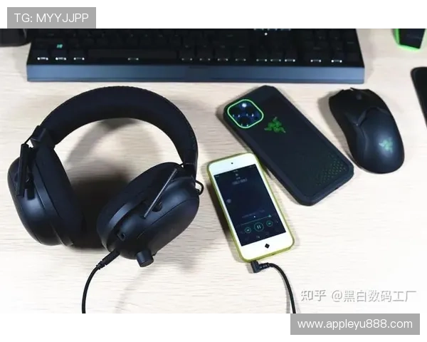 乐鱼电竞专业版怎么下载之后如何进行设置和功能介绍