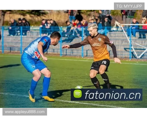 乐鱼最新首页登录不了的常见解决方案及预防措施详细介绍