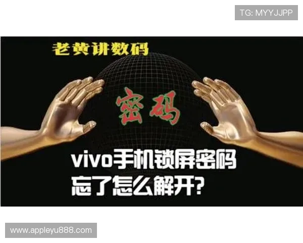 乐鱼网站app如何进行账号登录与密码找回，确保你的账户安全无忧