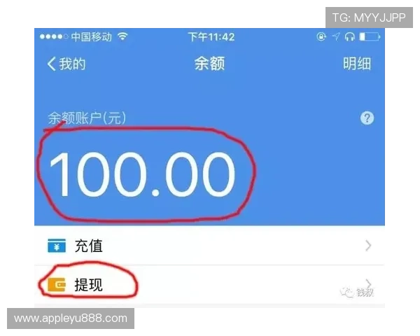 乐鱼app官网支持多种支付方式，提供便捷的充值提现服务满足用户多样化需求